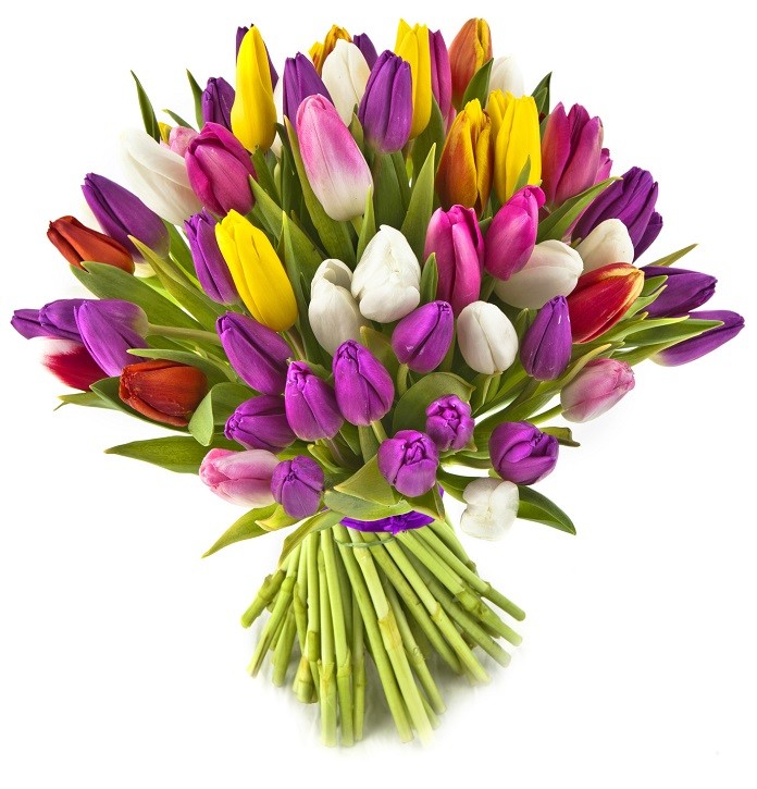 משלוחי פרחים באשדוד וחנות פרחים באשדוד